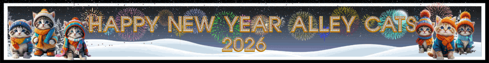 Alley Cats