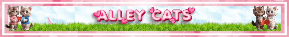Alley Cats