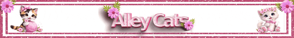 Alley Cats