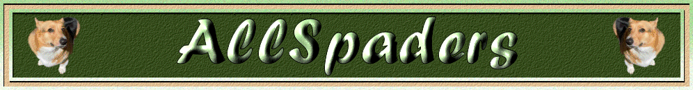 AllSpaders