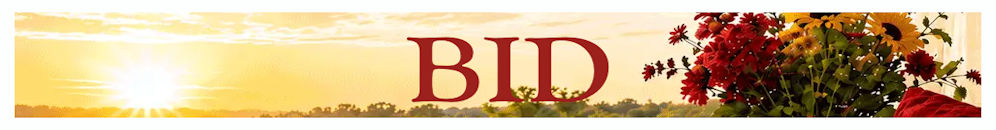 BidWhist