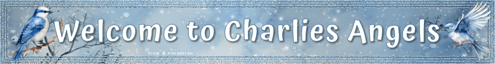 charliesangels