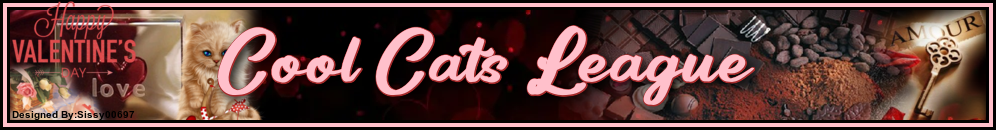 Cool Cats 