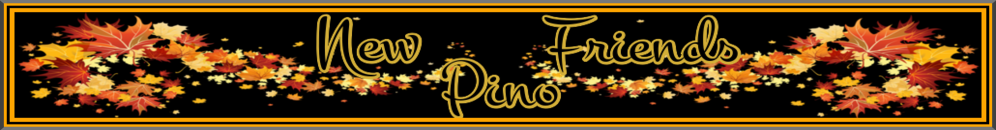 NEW FRIENDS PINOCHLE