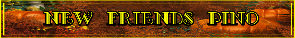 NEW FRIENDS PINOCHLE