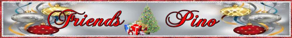 NEW FRIENDS PINOCHLE