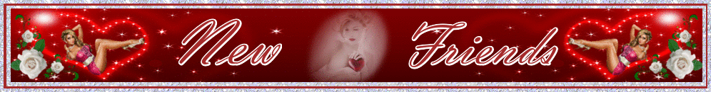 NEW FRIENDS PINOCHLE