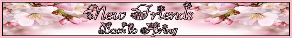 NEW FRIENDS PINOCHLE