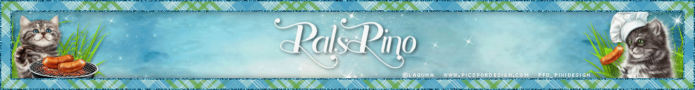 PALS Pino