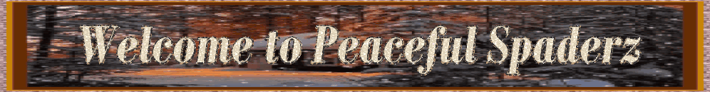 Peaceful Spades League