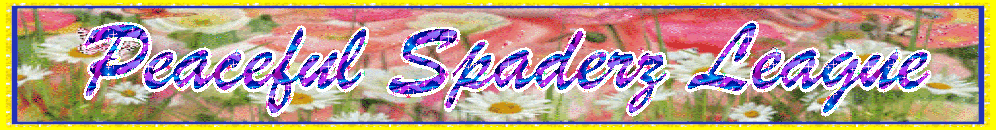 Peaceful Spades League