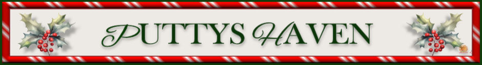 Puttys Haven of Wizards