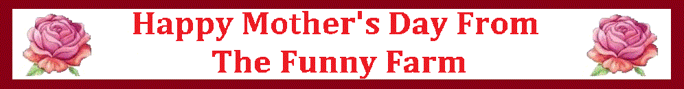 THE FUNNY FARM