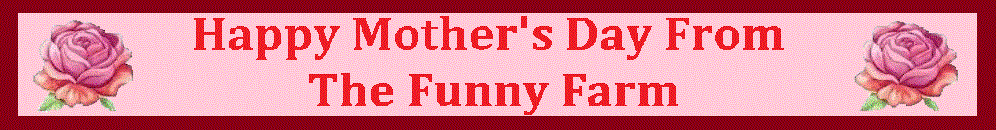 THE FUNNY FARM