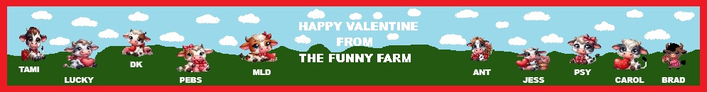 THE FUNNY FARM