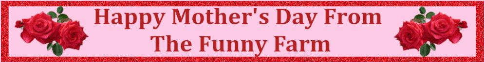 THE FUNNY FARM