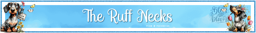The Ruff Necks 