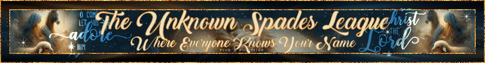 Unknown_Spades_League