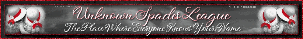 Unknown_Spades_League