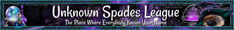 Unknown_Spades_League